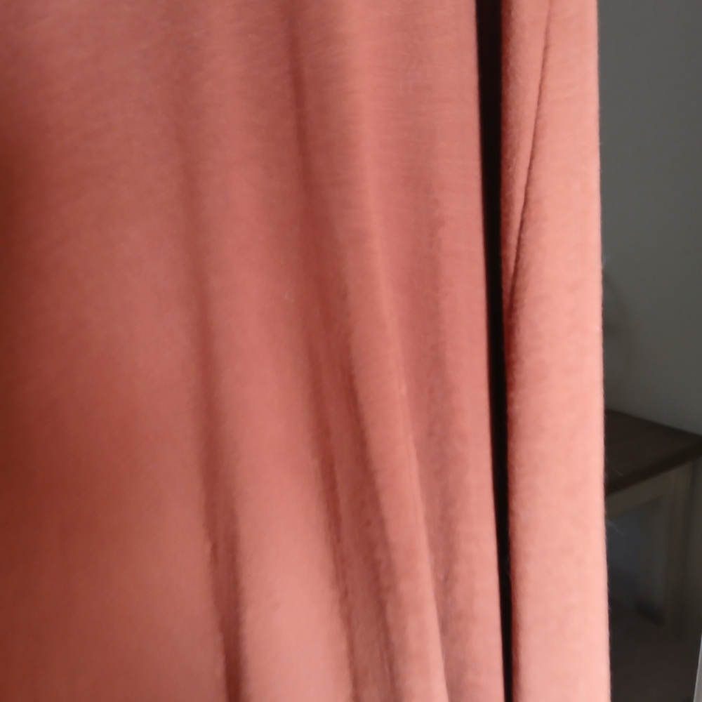 Rust Button-Down Dress - Picture 8 of 8